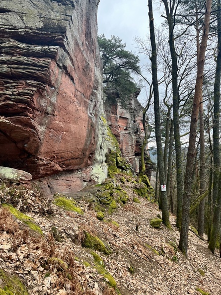 24-03-01 11-32-24 8862.jpeg